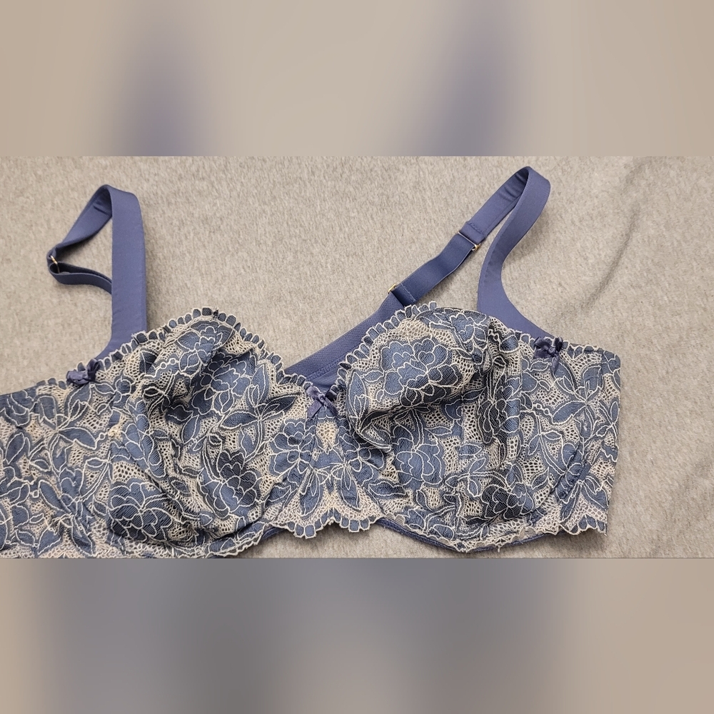 Cicaque Seriously Sexy Lace Underwire Bra, Blue 46C